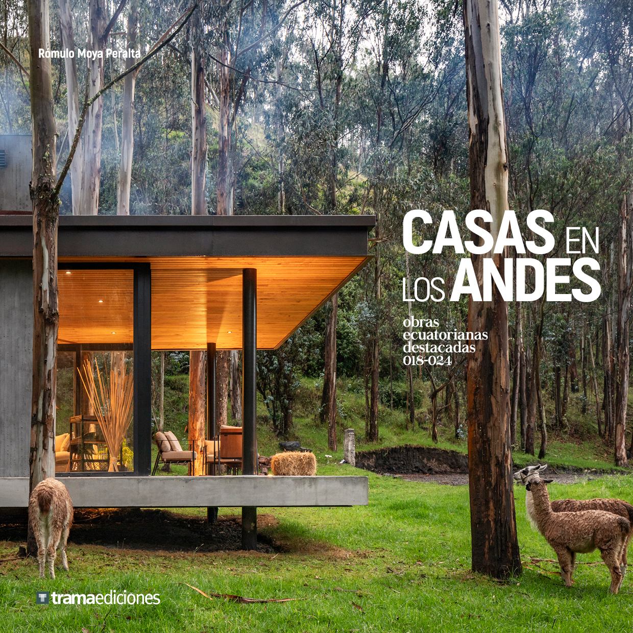 Casas en los Andes: obras ecuatorianas destacadas 2018-2024